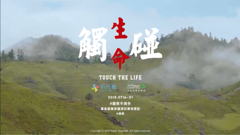 图片 19.png