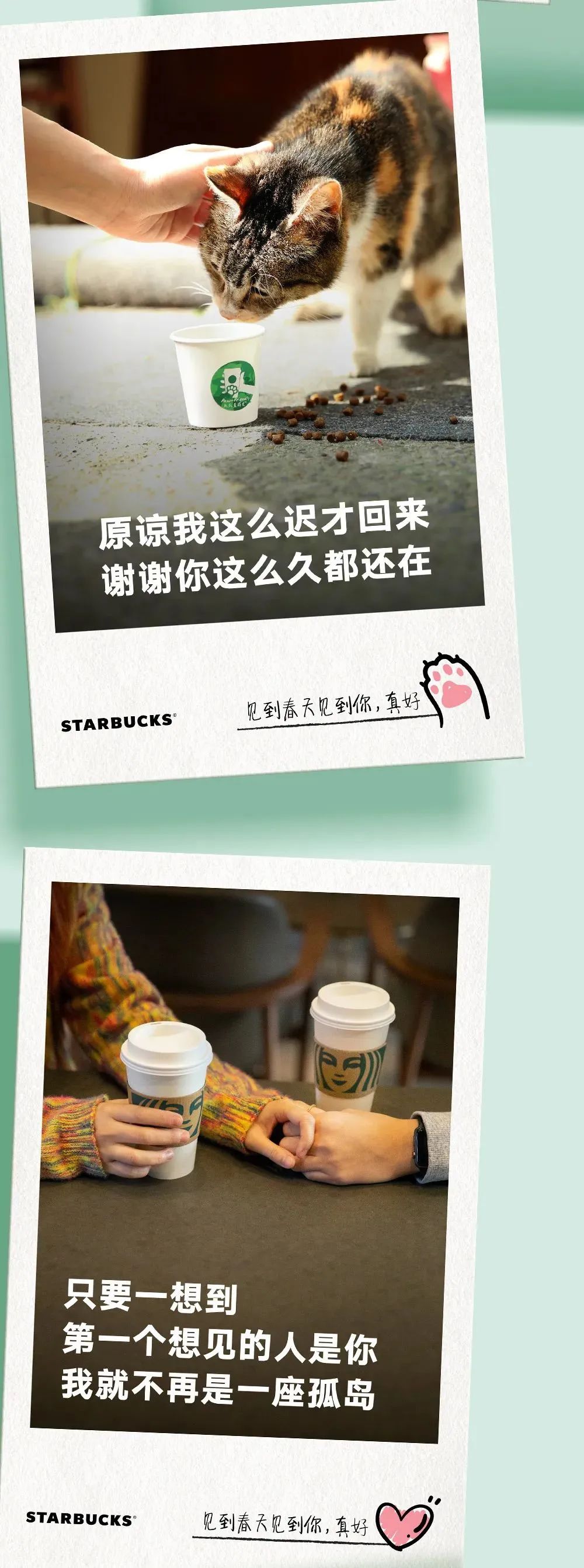 星巴克:春天给你的明信片,遇见花开的美与希望