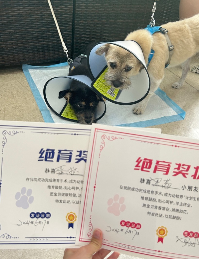 http://7xo6kd.com1.z0.glb.clouddn.com/upload-ueditor-image-20170722-1500698092179050508.jpg