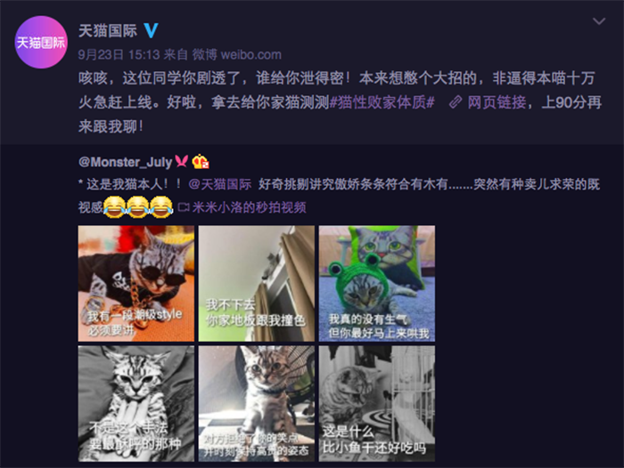 天猫国际：一只猫的进化论，从“败家”到“巨星”