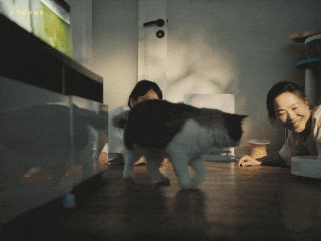 1747130753920080.png