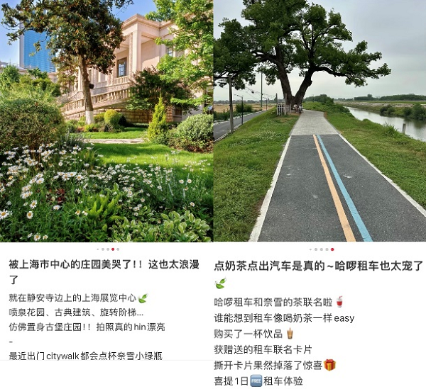 图片 5.png