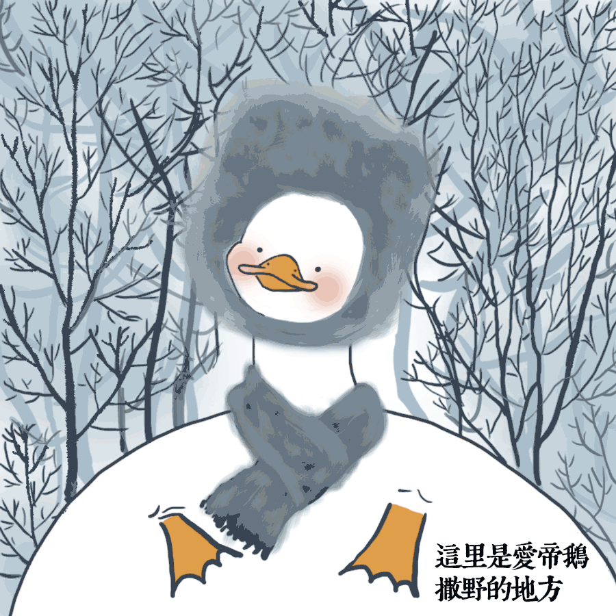 鴨鴨-冬天-2.gif